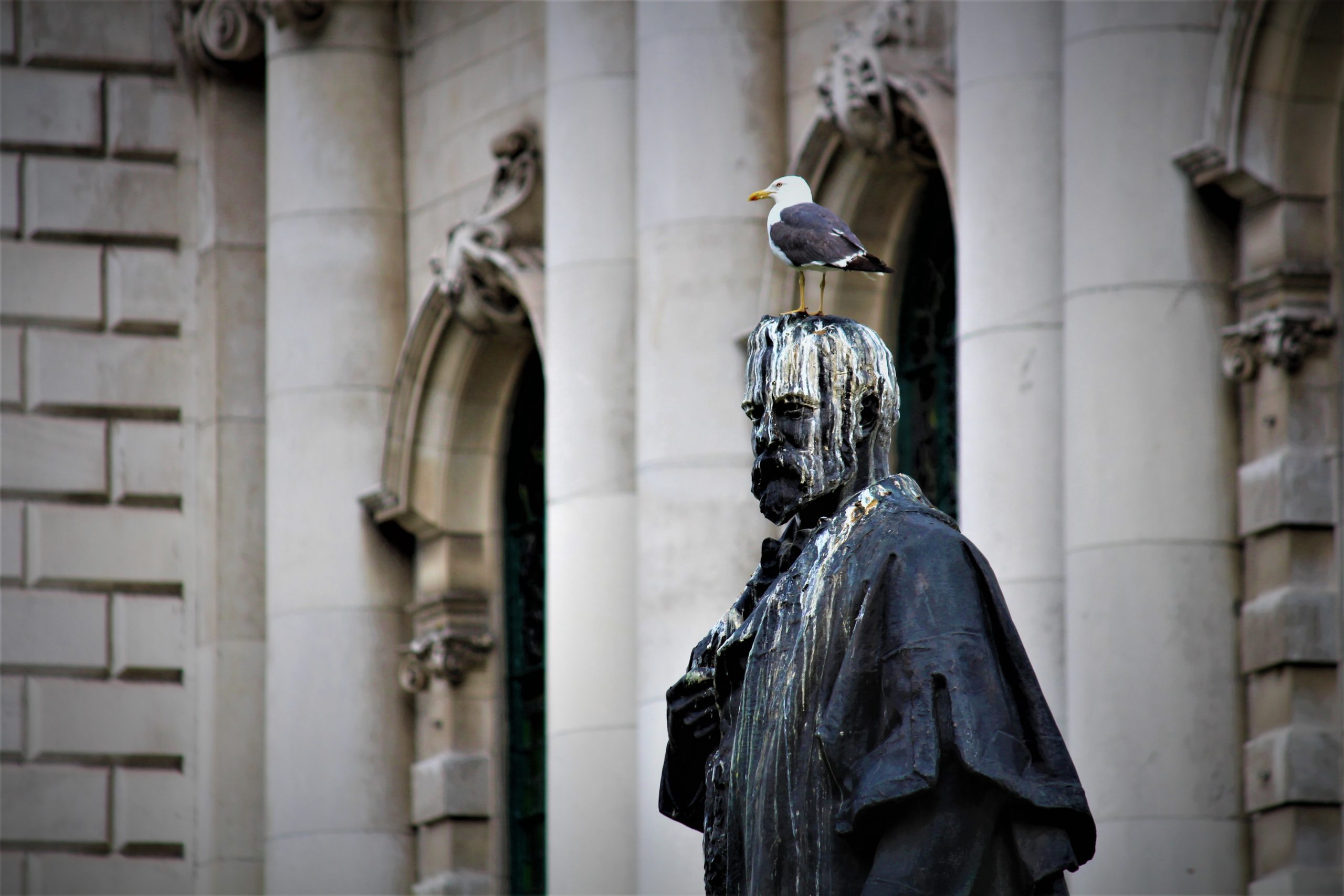 London statue covered in bird guano