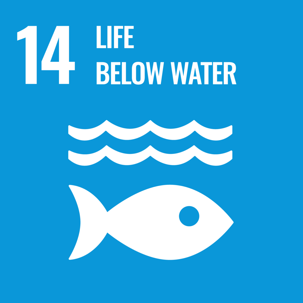 UN Sustainable Development Goal 13: Climate Change