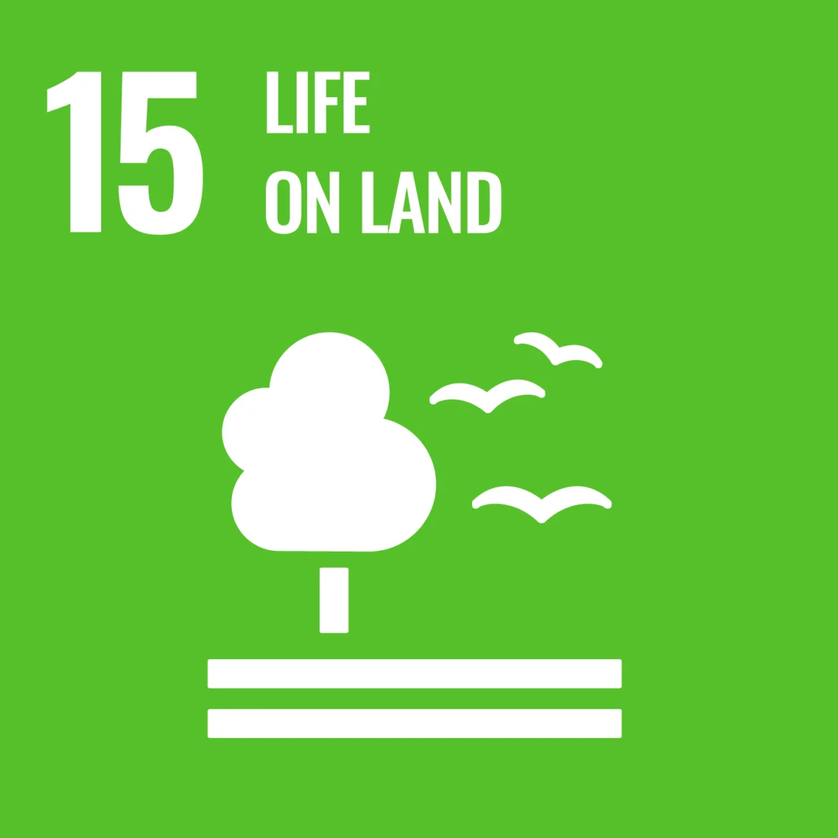 E_WEB_15 UN Sustainable Development Goal 15: Life on Land