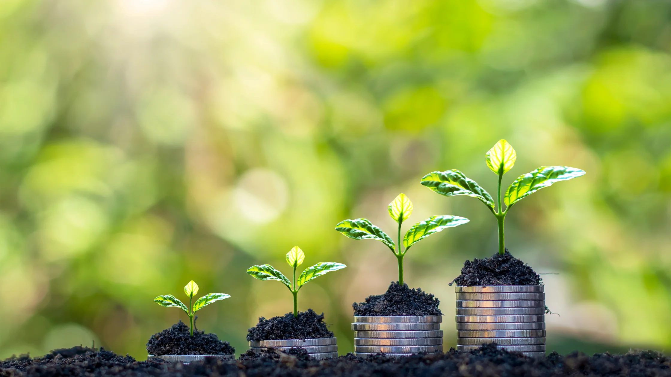 Plants sprouting from stack of coins to represent saving money and business growth