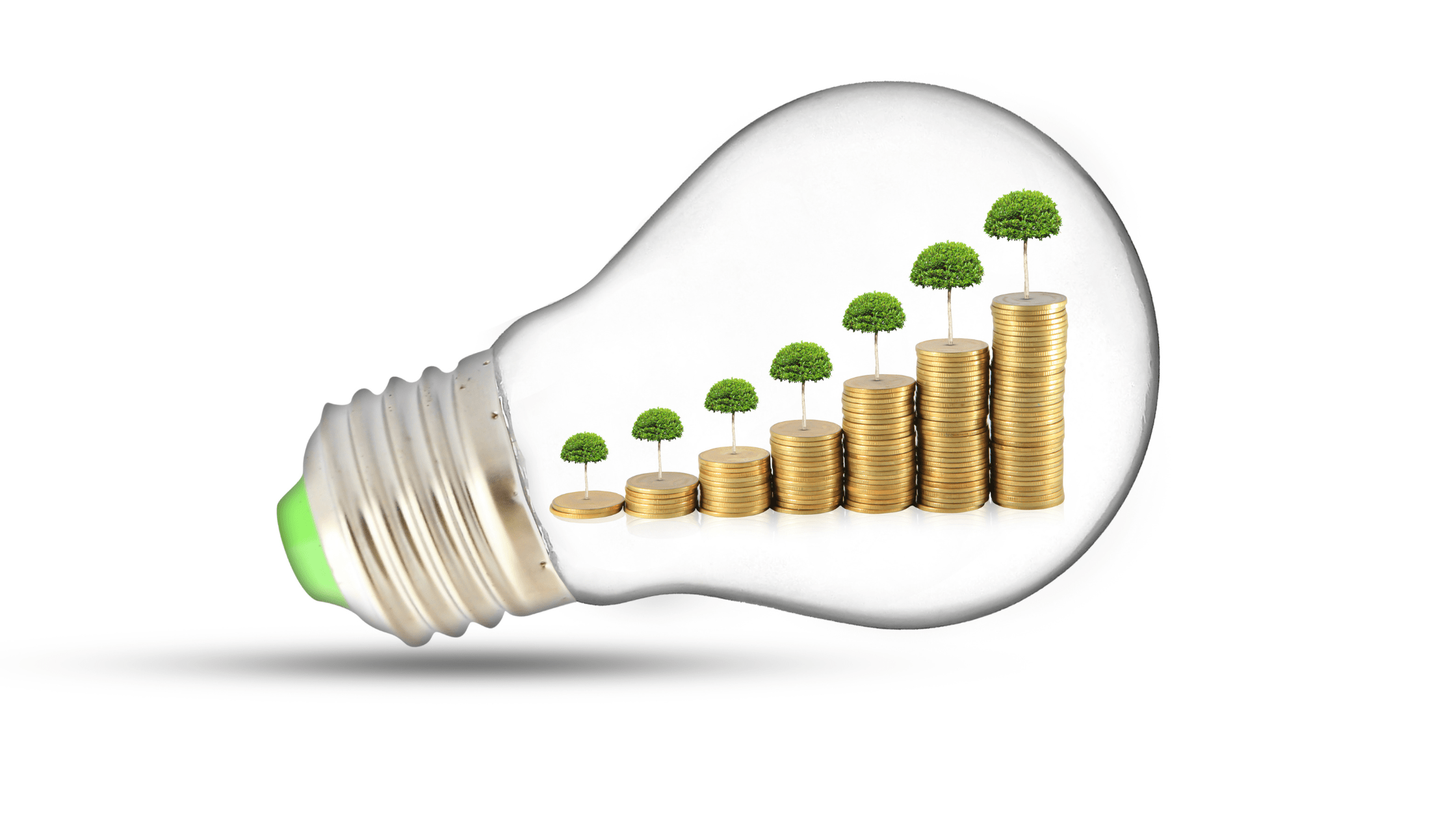 Lightbulb filled with growing piles of money and trees