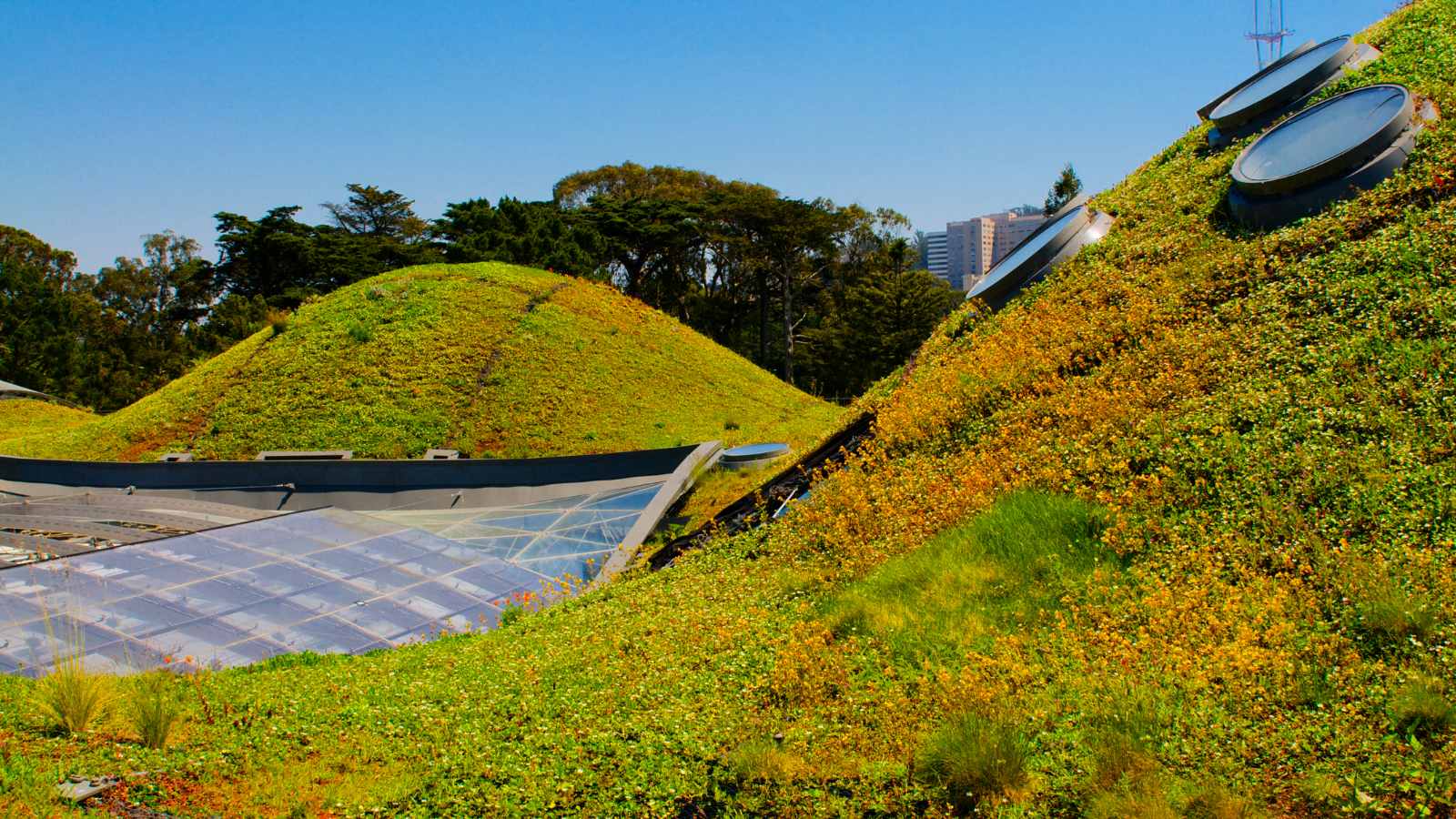 A green roof – a more sustainable construction method to combat waste