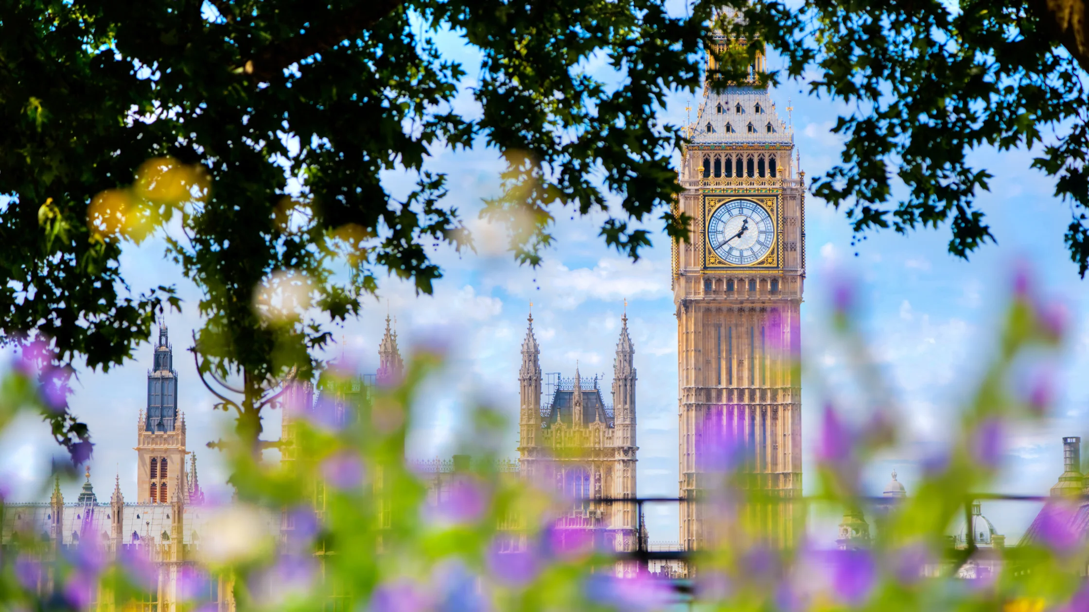 View of the Palace of Westminster and Big Ben framed by trees and flowers