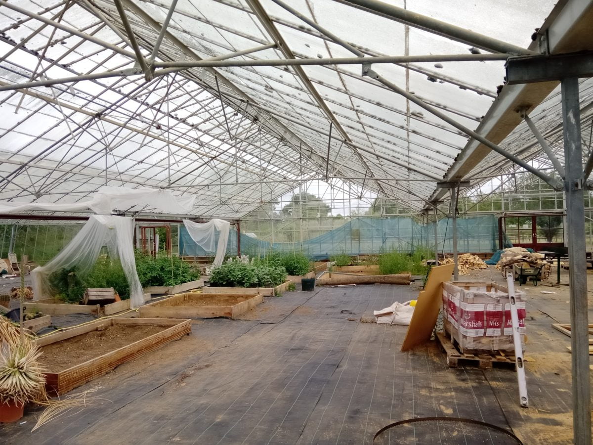 Brinsbury College greenshouse before the strip-out and site clearance