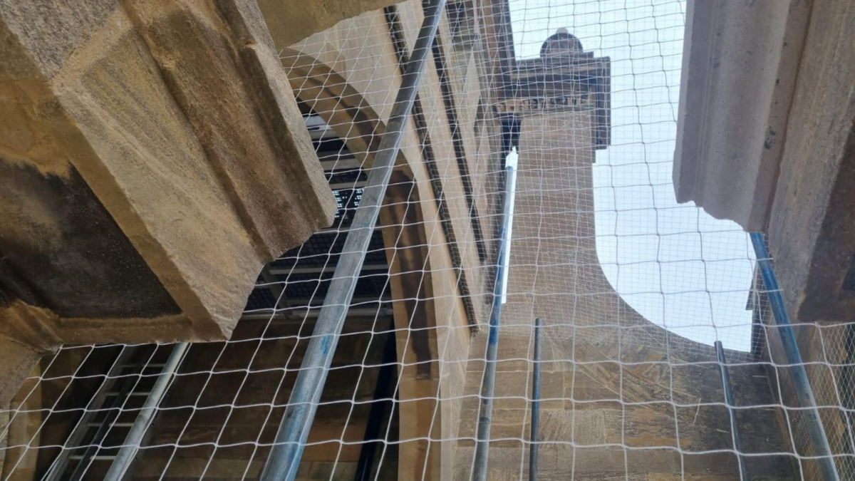 Close-up of bird proof netting and fixtures on a Blenheim heritage building