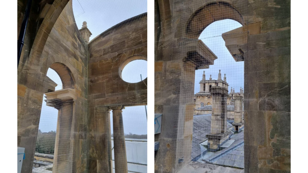 Bird Proofing for Blenheim