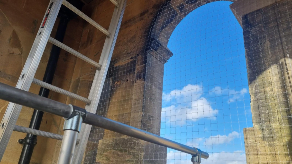 Blenheim bird proof netting on arches showing ladder and scaffolding