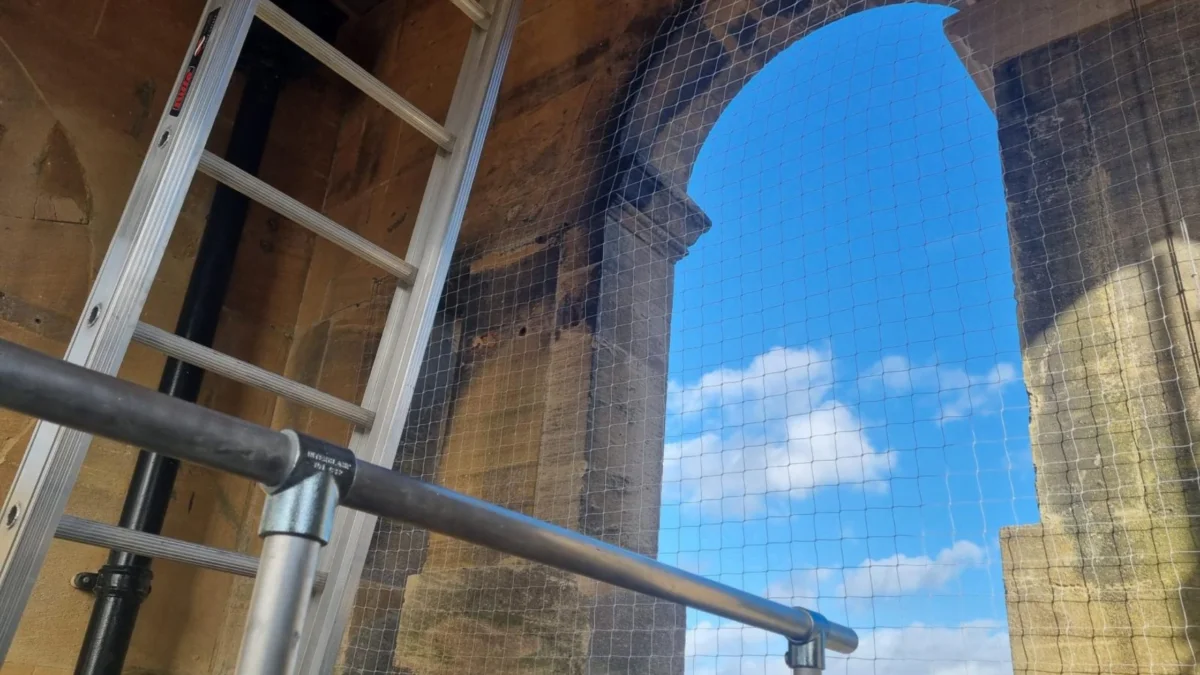 Bird Proofing