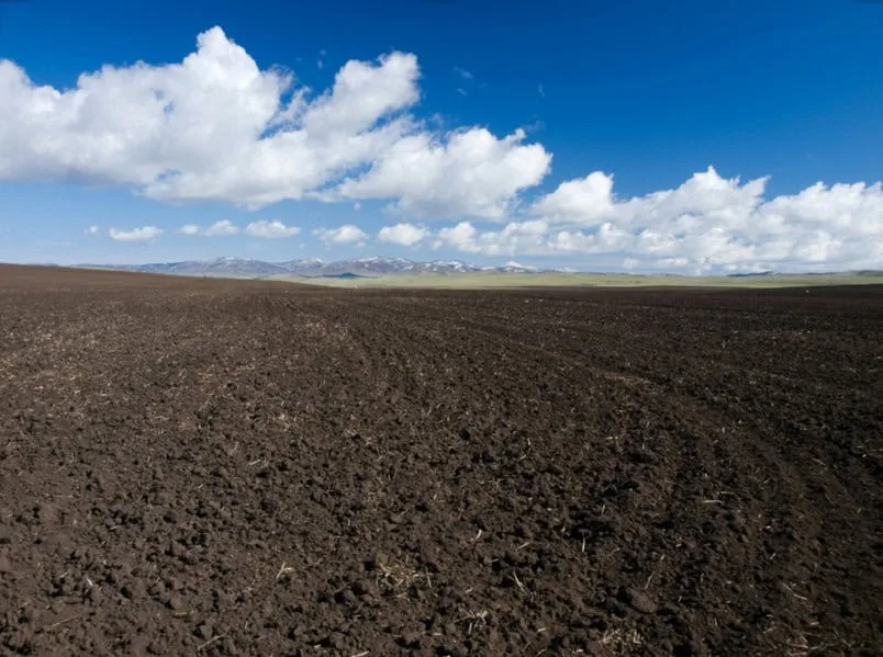 contaminated soil removal