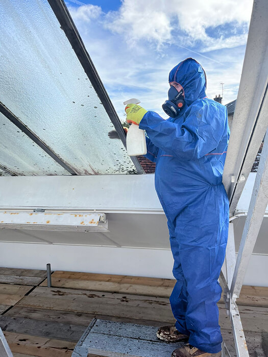 3 soft strip demolition